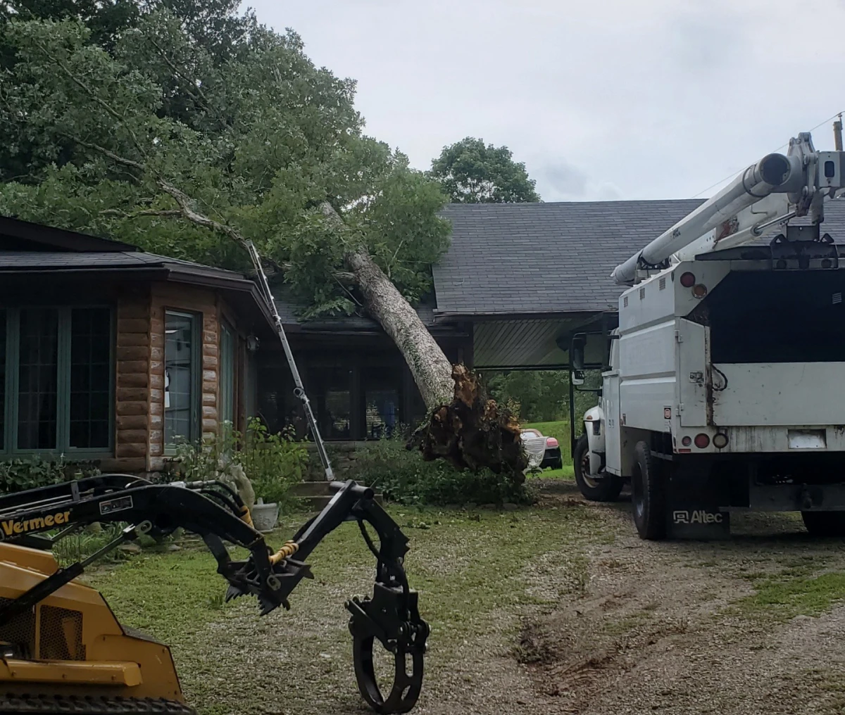Crane removing fallen tree from house