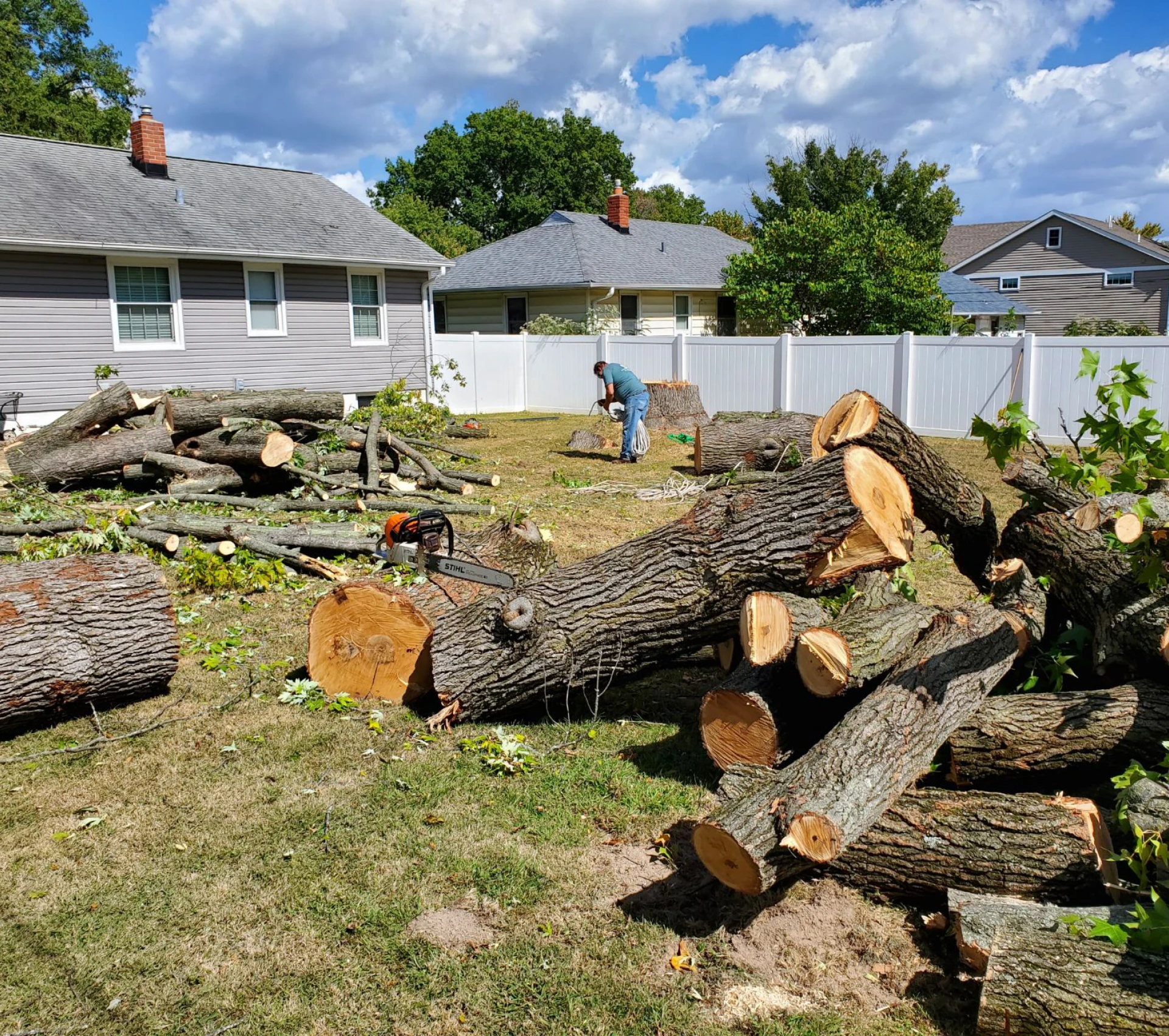Residential yard with chopped tree logs